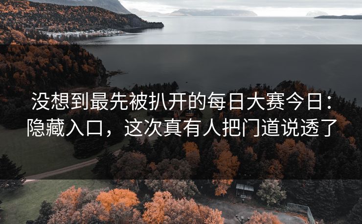 没想到最先被扒开的每日大赛今日：隐藏入口，这次真有人把门道说透了
